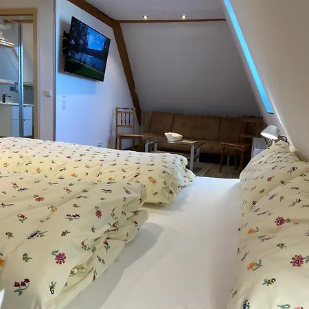 Apartament Kalte Vöhrenbach